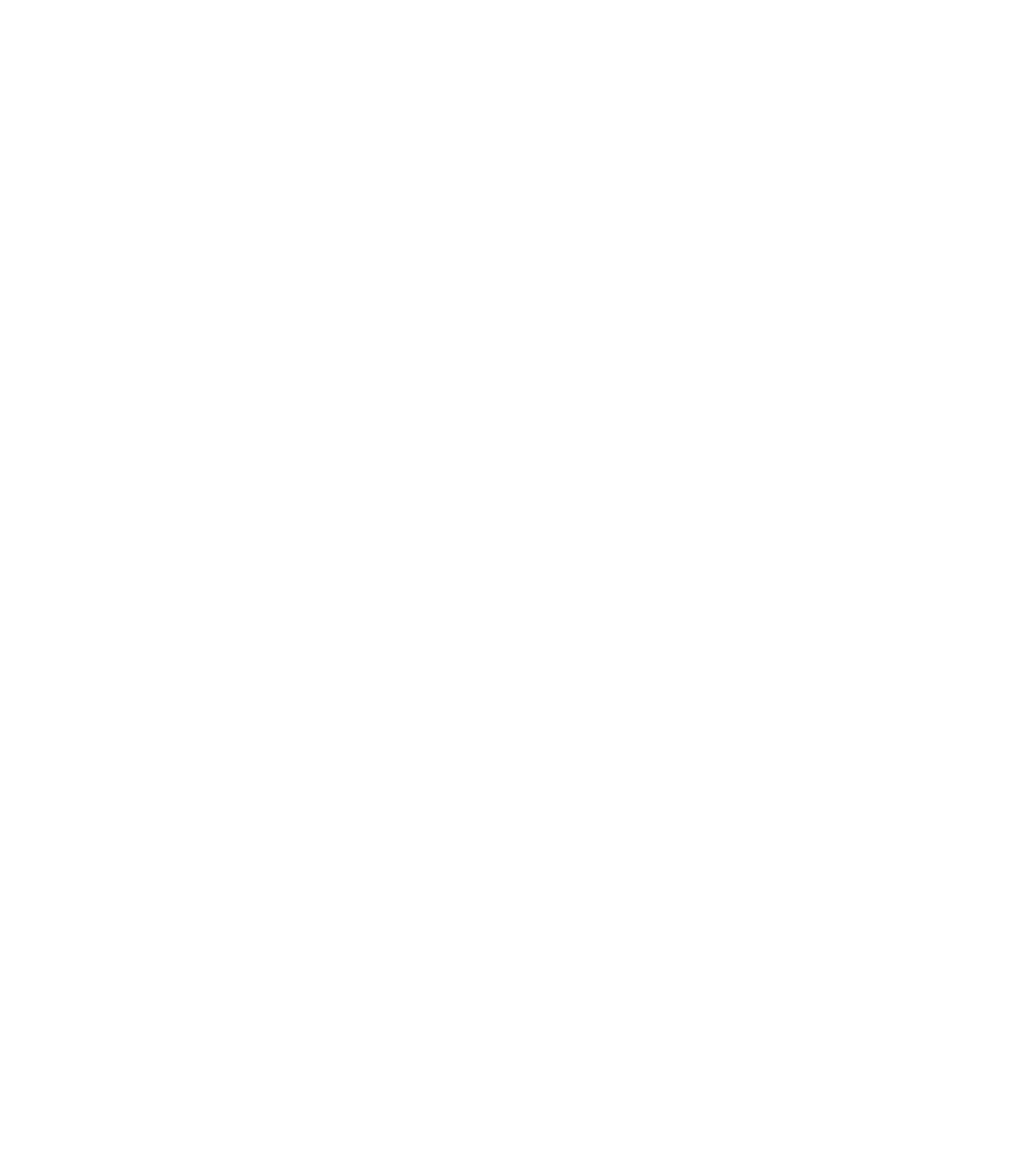 VIP Boxing Academy logo